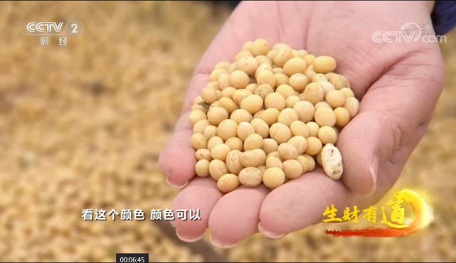 糧油品牌全案策劃