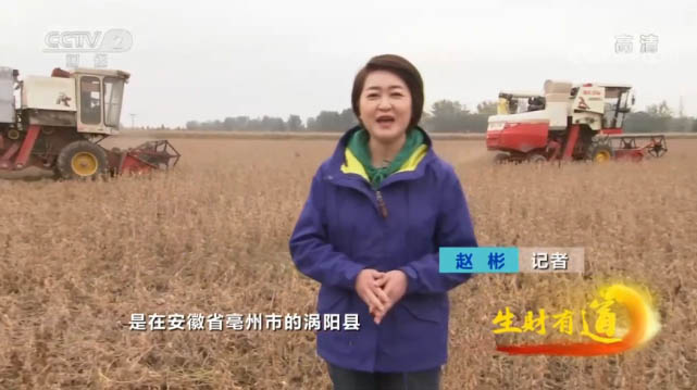 糧油品牌全案策劃