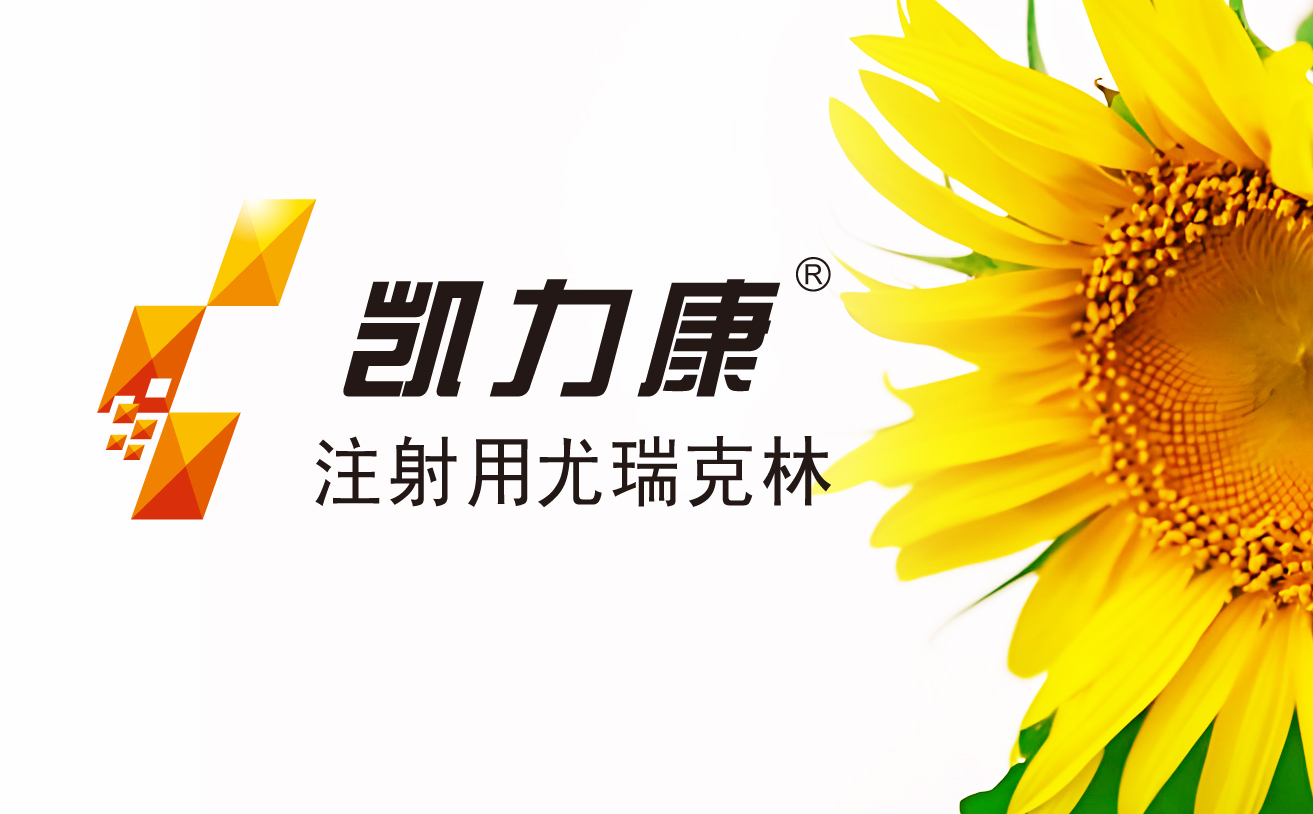 凱力康品牌VI設計,上海設計公(gōng)司