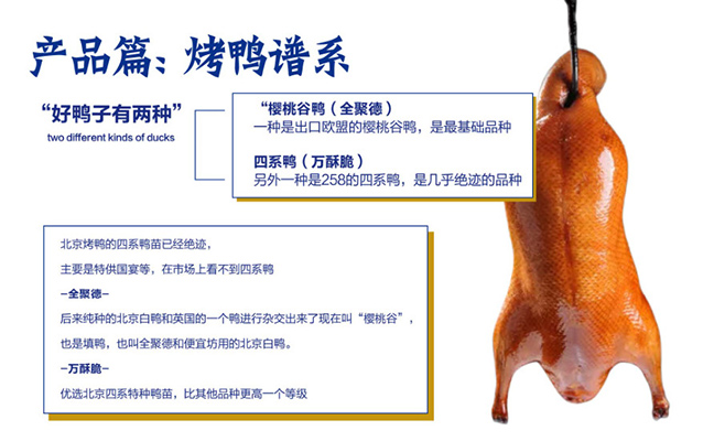 産(chǎn)品篇烤鴨譜系