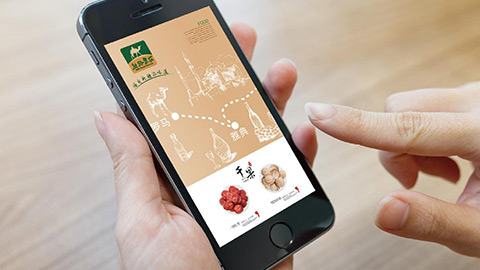 農業品牌策劃,農産(chǎn)品品牌設計