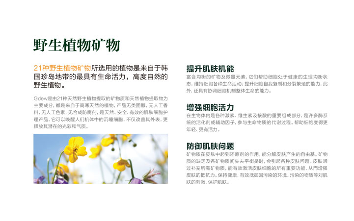 化妝品包裝(zhuāng)設計