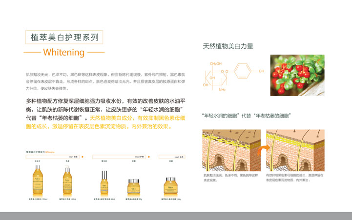 化妝品包裝(zhuāng)設計