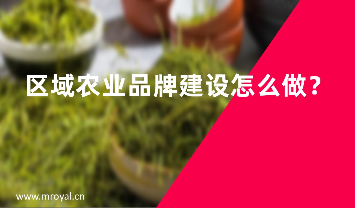 區(qū)域農業品牌建設怎麽做？