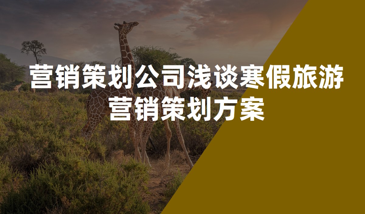 營銷策劃公(gōng)司淺談寒假旅遊營銷策劃方案