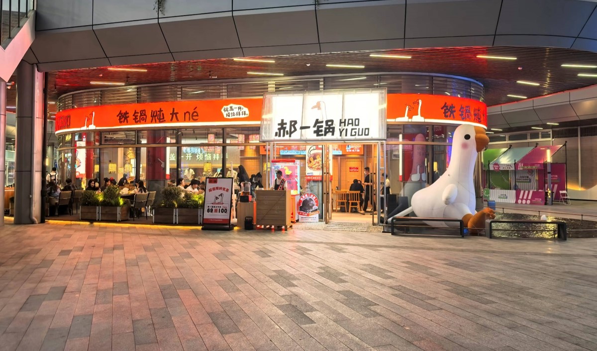 餐飲行業鐵鍋炖大鵝品牌策劃詳案