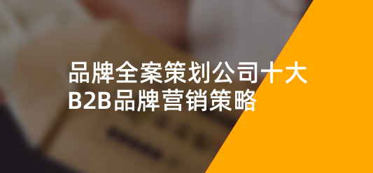 品牌全案策劃公(gōng)司十大B2B品牌營銷策略